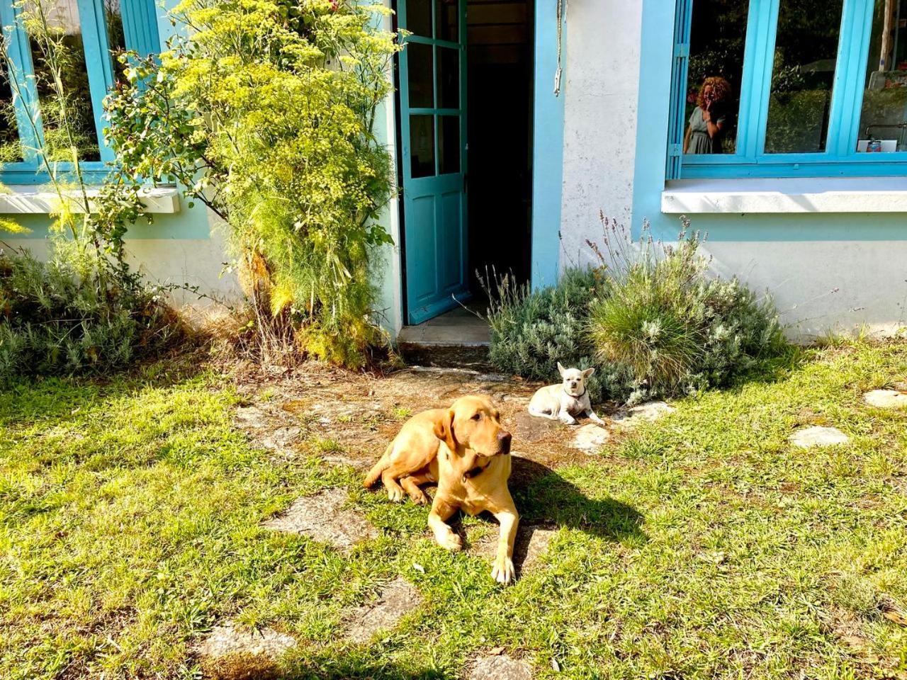 Penty Legona, Authentique Et Chaleureux, 2-6 Pers Villa Moëlan-sur-Mer Dış mekan fotoğraf